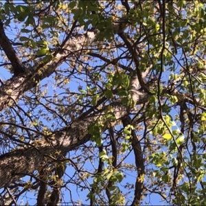 Meet your Posher, Becky